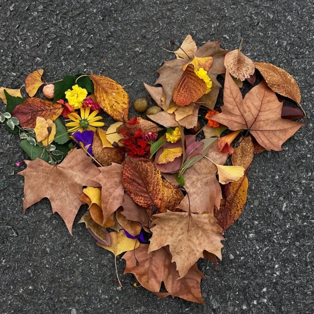 十一月，加油！🍂 (2).jpg