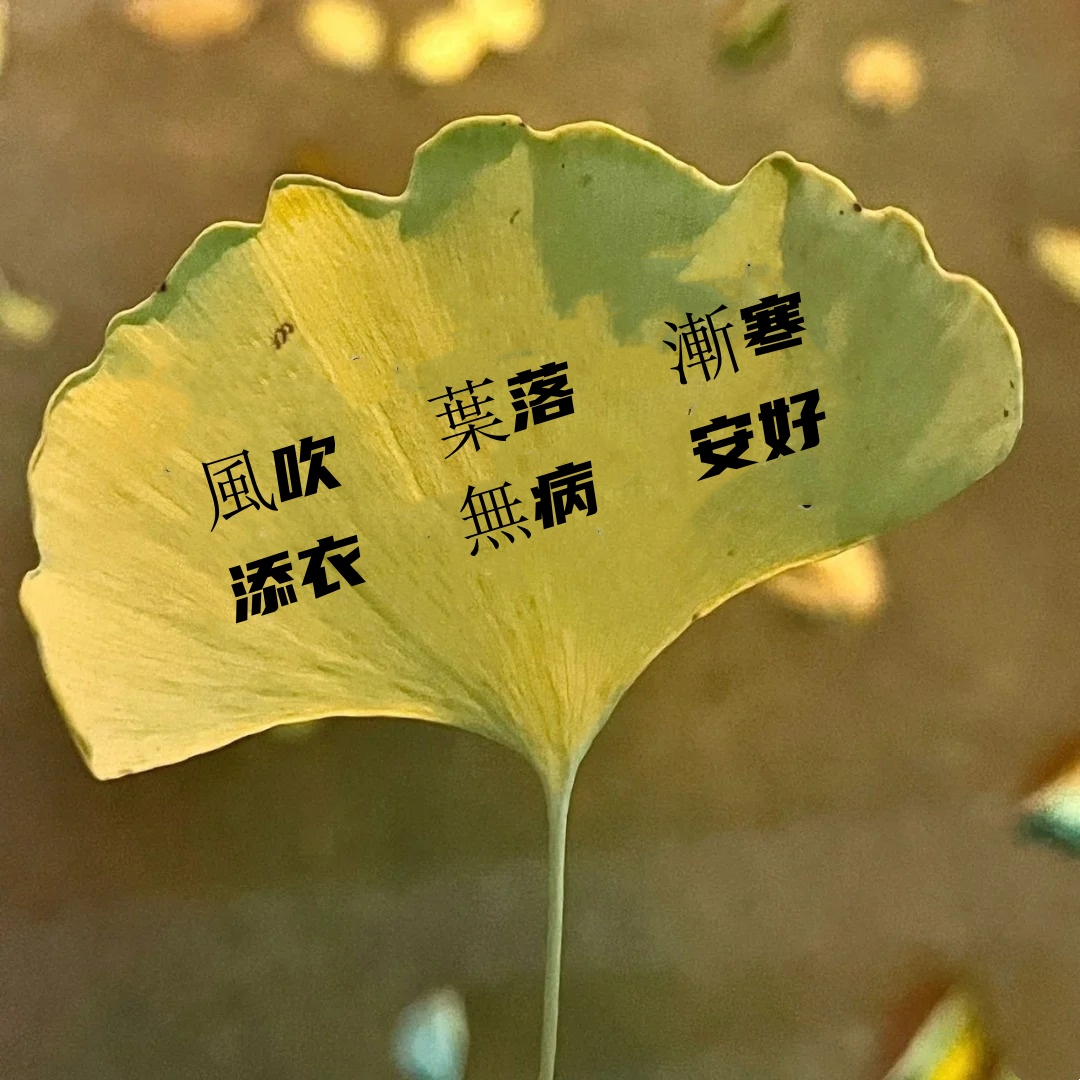 十一月，加油！🍂.jpg