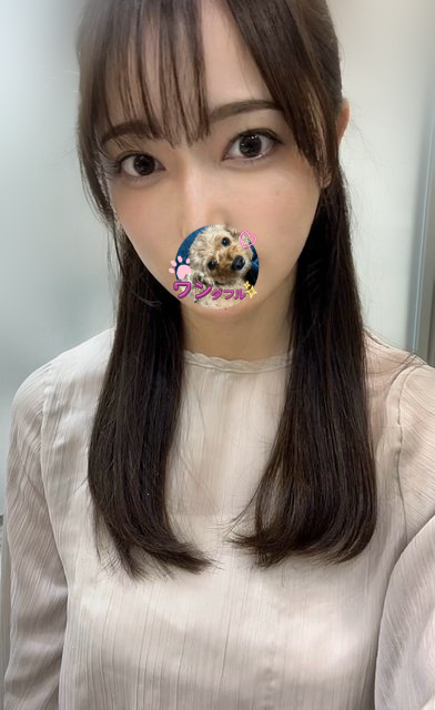 木子美.png